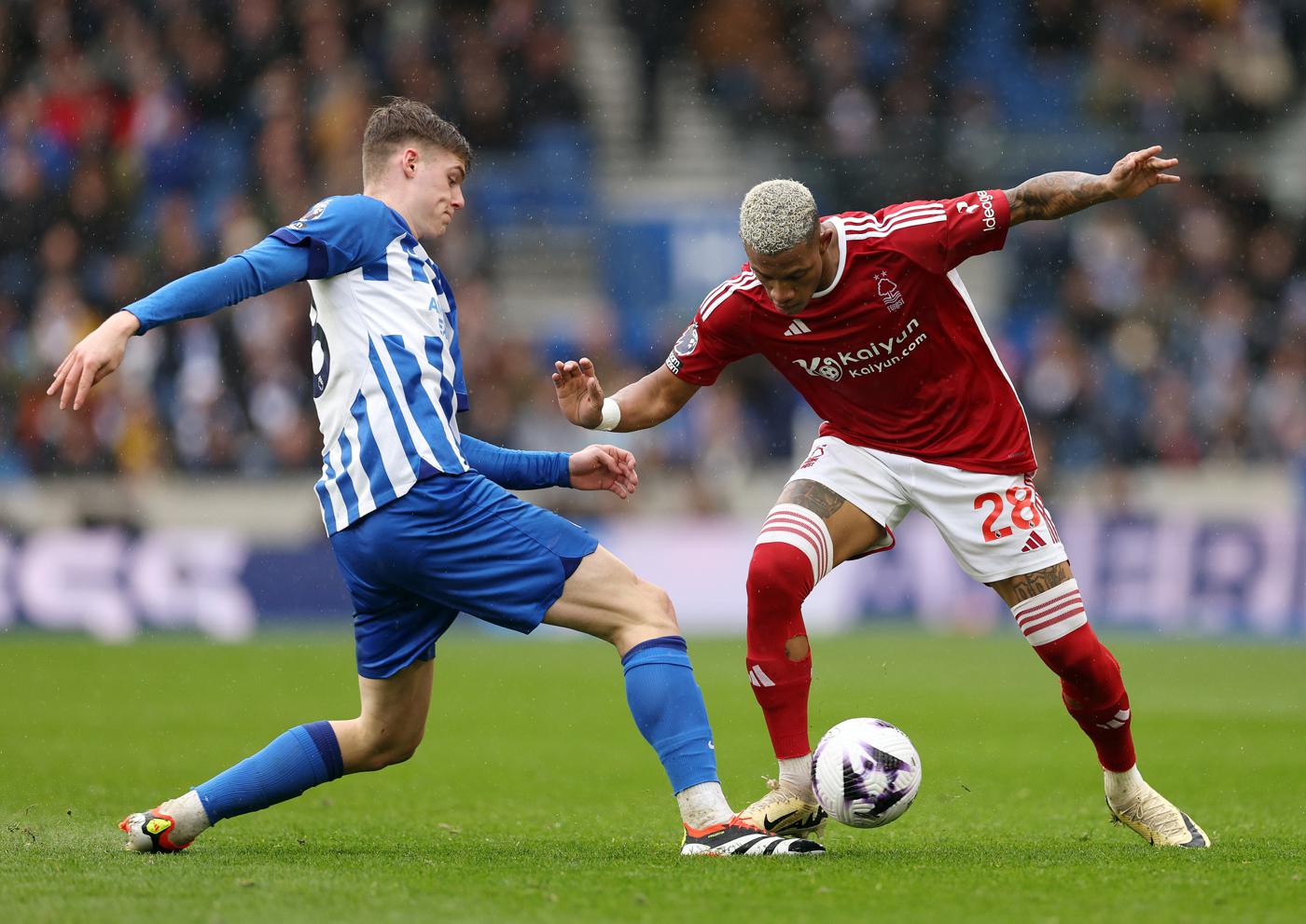 Nhận định Brighton vs Nottingham 20h00 ngày 22/9 Vòng 5 Premier League 2024/25