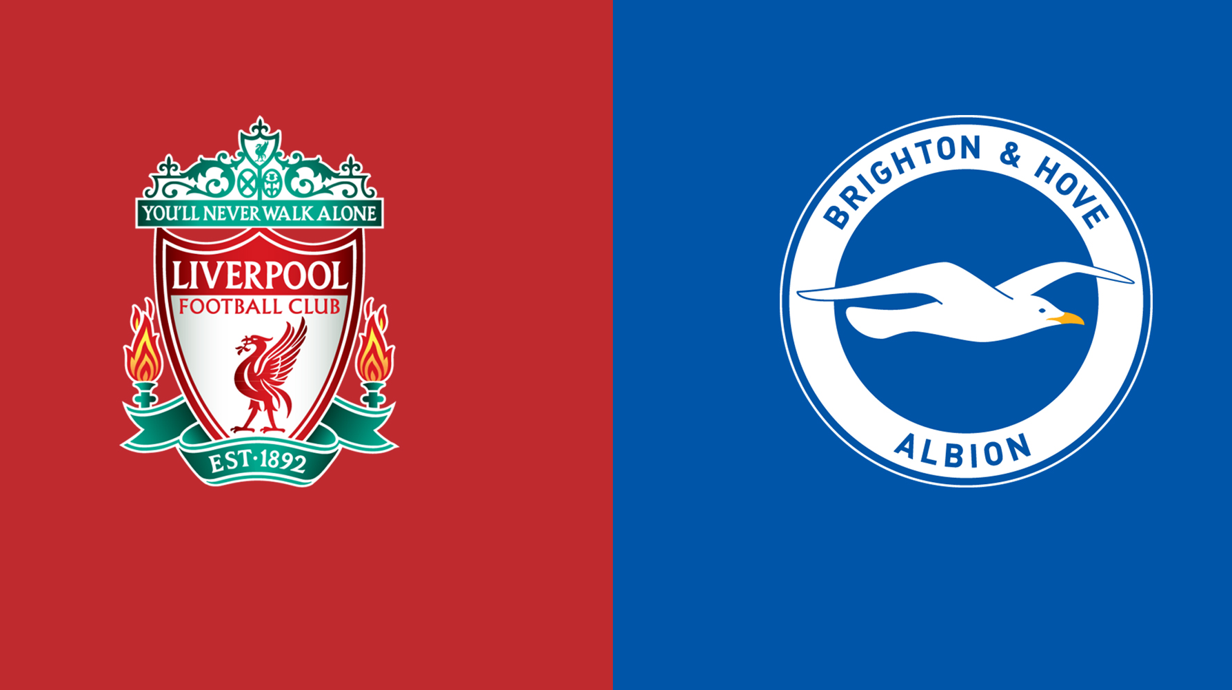 Nhận định trận đấu Liverpool vs Brighton 22h00 ngày 02/11 Ngoại hạng Anh